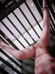 抖音80W粉絲推特網紅超萌蘿莉反差婊一隻喔私拍視圖大量流出人前露出3P喝尿野戰騷中極品