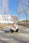 蜂腰肥臀尤物反差婊~極品吊鍾巨乳人妻想想私拍視圖戶外野戰人前露出調教啪啪呻吟好聽直叫爸爸