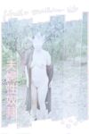 【网红摄影】重磅！整合28位超强摄影+极品网红 超给力，抖叔 希威社 戴菲妮 野叔 无尘 等各类